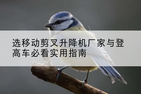 古丈电动升降机厂家-选移动剪叉升降机厂家与登高车必看实用指南