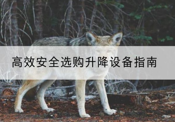 古丈升降货梯厂家推荐-*安全选购升降设备指南